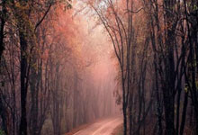 开云体育APP下载-利物浦新星爆发，挑战帕尔梅拉斯防线坚固