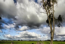 开云体育官方网站-《暗流涌动：解码亚洲之巅的终极备战密码》