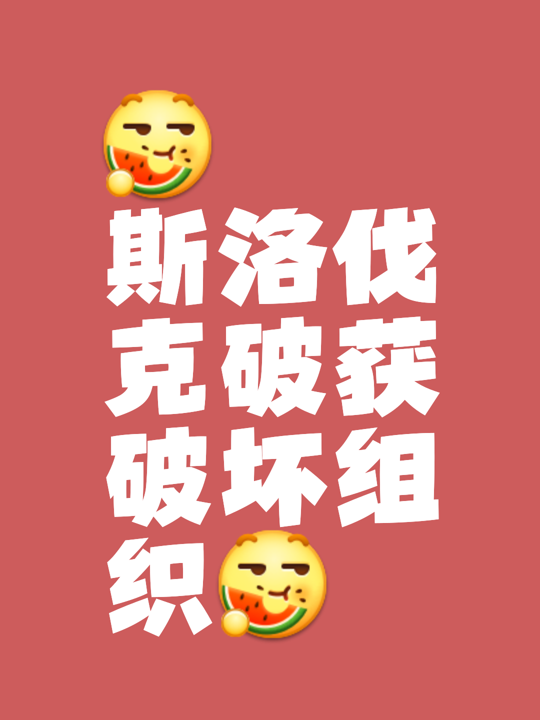 斯洛伐克队取得胜利,为晋级奠定基础 斯洛伐克队取得胜利,为晋级奠定基础