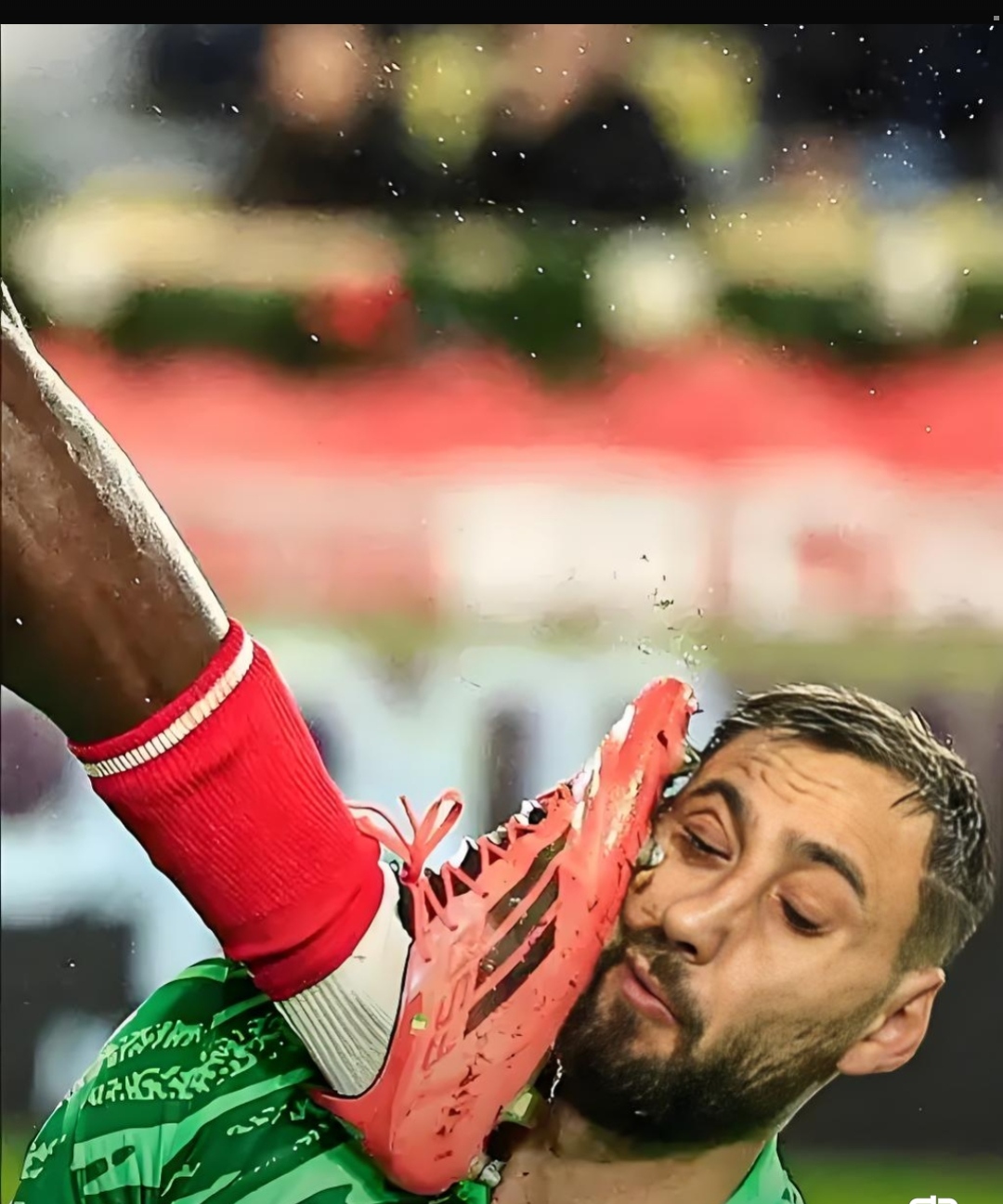 开云体育app-包含摩纳哥主场完胜图卢兹，稳固前列的词条