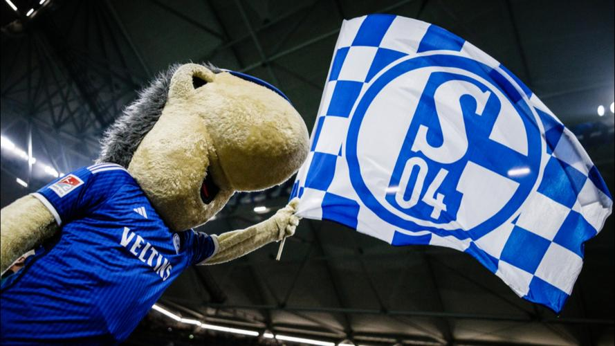 开云平台-包含沙尔克主场遭遇挫败，保级之路越发坎坷的词条