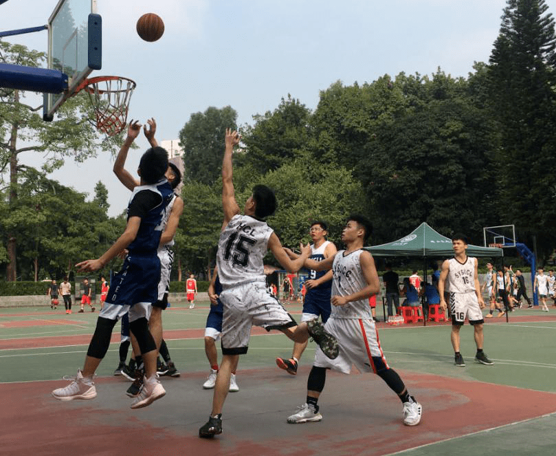 包含青年篮球选拔赛今日开幕,青训未来可期的词条 包含青年篮球选拔赛今日开幕,青训未来可期的词条