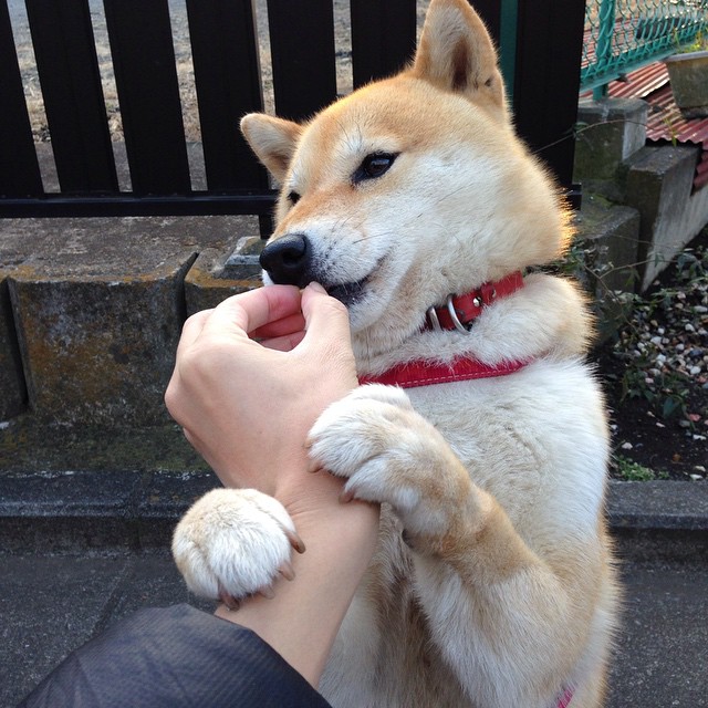 开云平台-季前赛首度交锋，文班亚马关键战不手软，热火力克新疆初露峥嵘