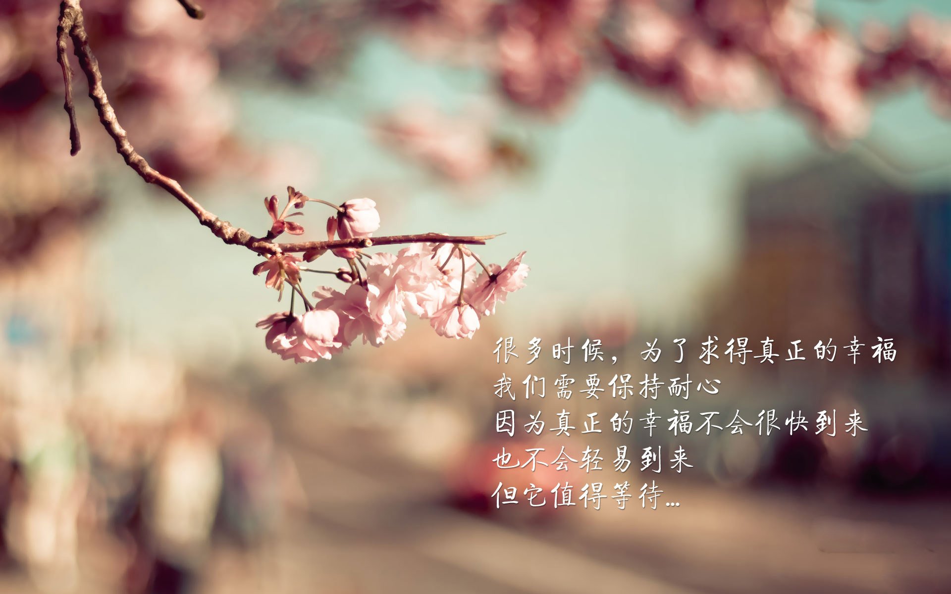 狂暴里程碑之夜！浓眉改写历史，黄蜂逆转未果步行者稳守胜局