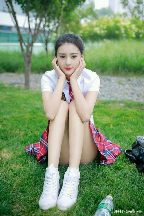 跨洲际的体育寓言，黄蜂的群蜂战术与字母哥的德比征服