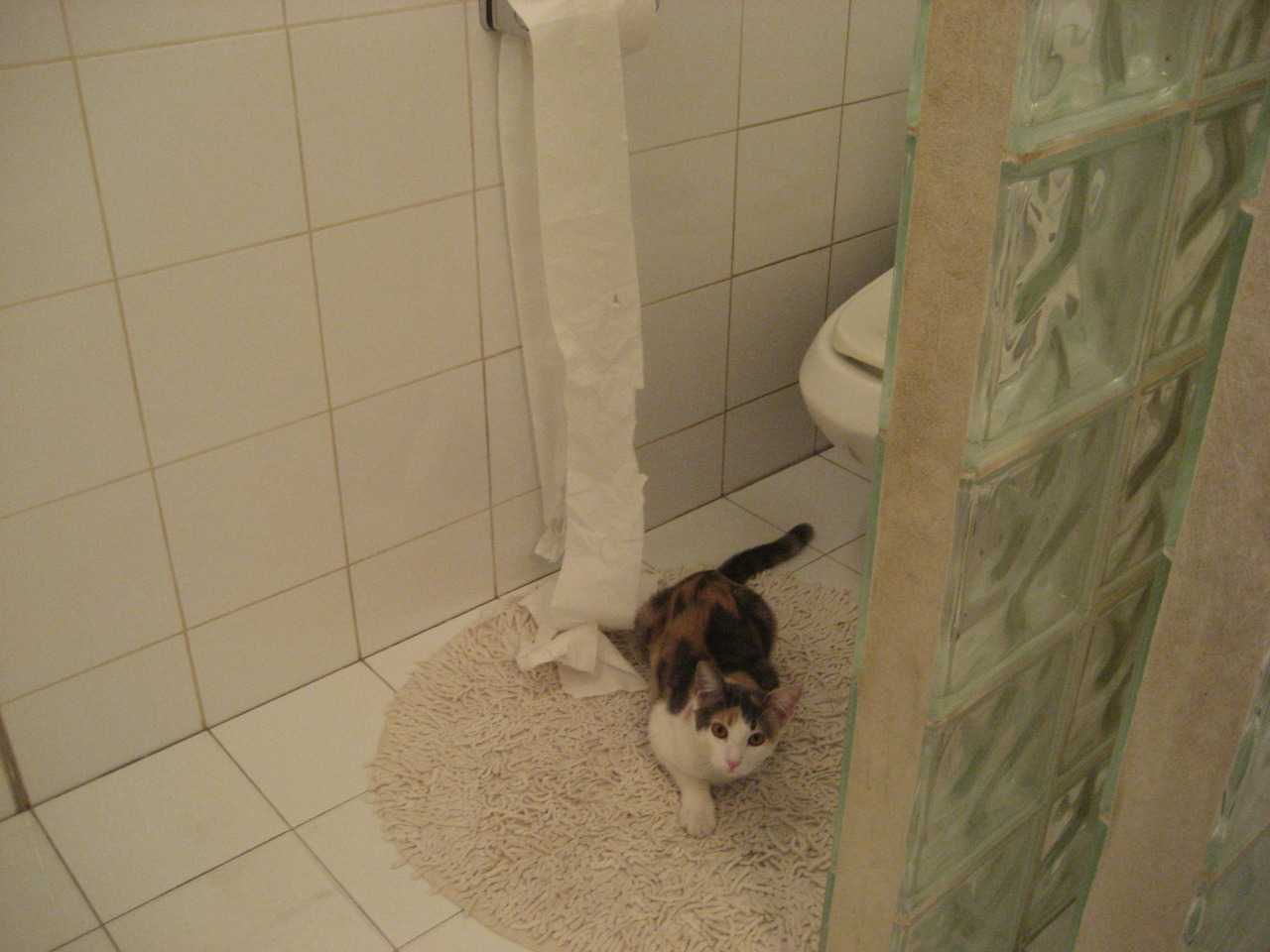 从亚特兰大到2026,拉亚如何接过巴西的权杖