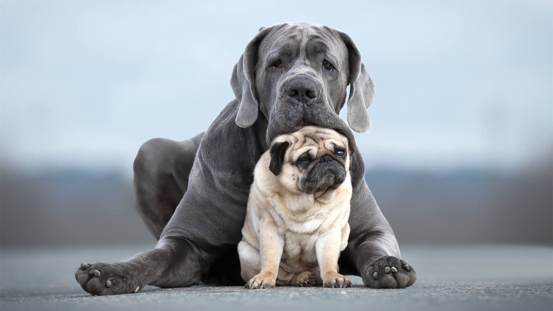 开云体育官网-时间的魔法，当本泽马爆发与墨西哥绝杀同场共舞