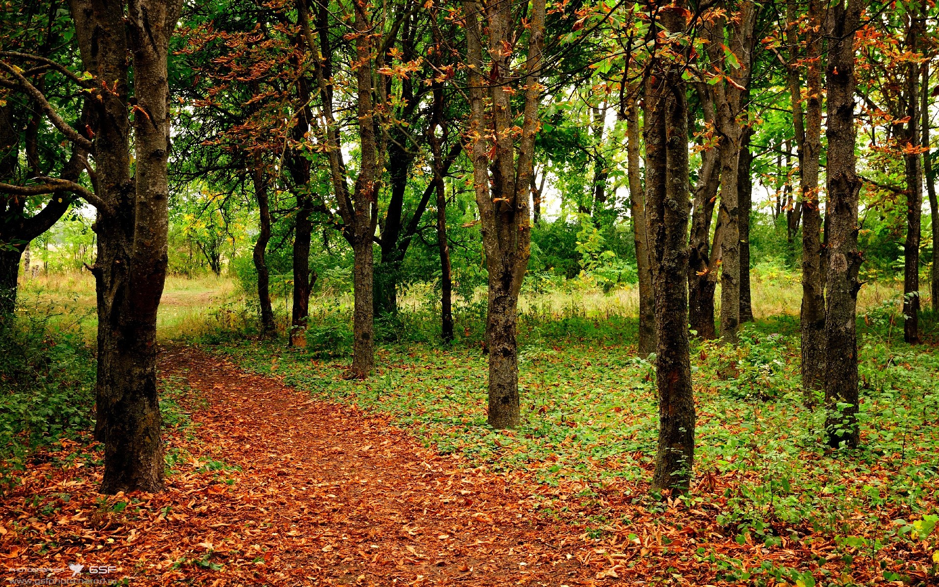 布克绝杀夜,当森林狼巅峰对决遇上山西,大场面先生书写传奇