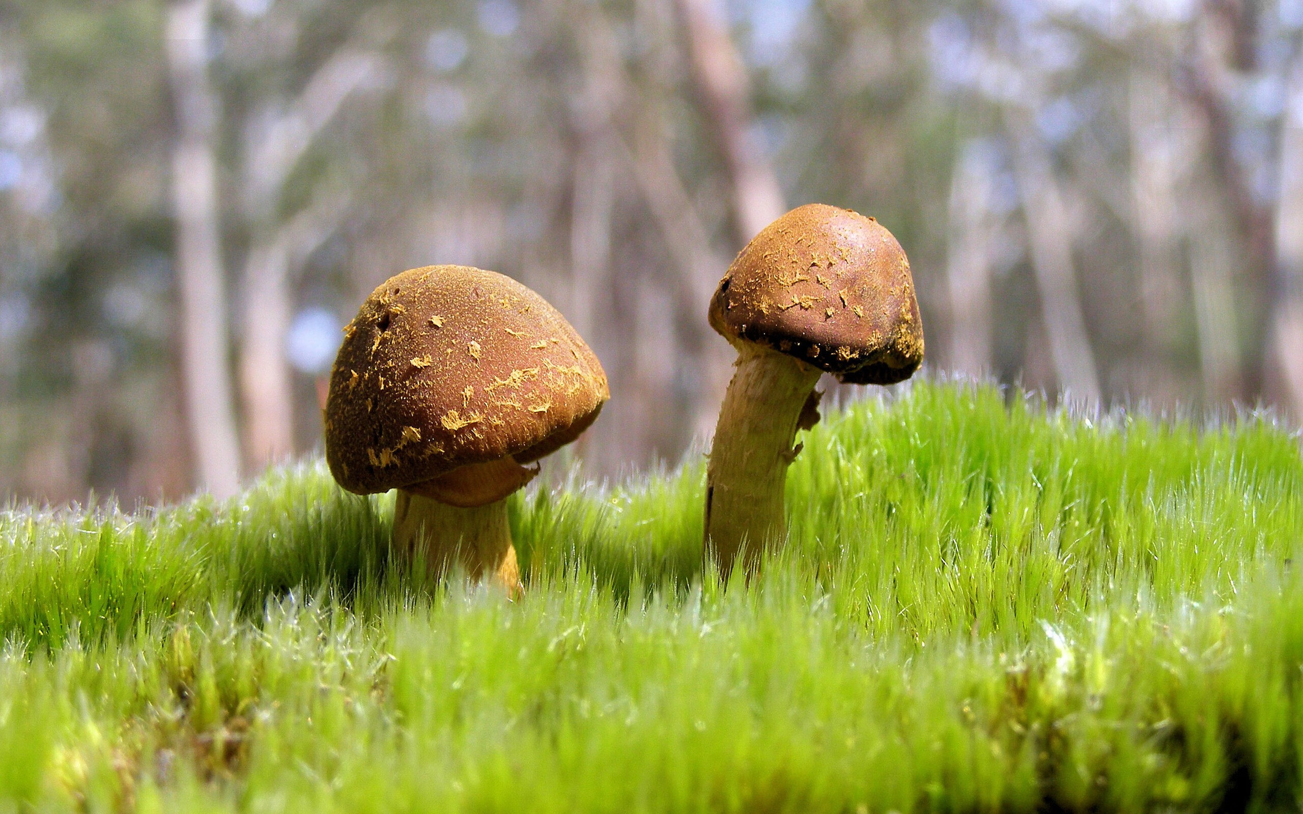 开云体育平台APP-阿克攻防两端统治比赛，巴萨客场掀翻罗马晋级在望