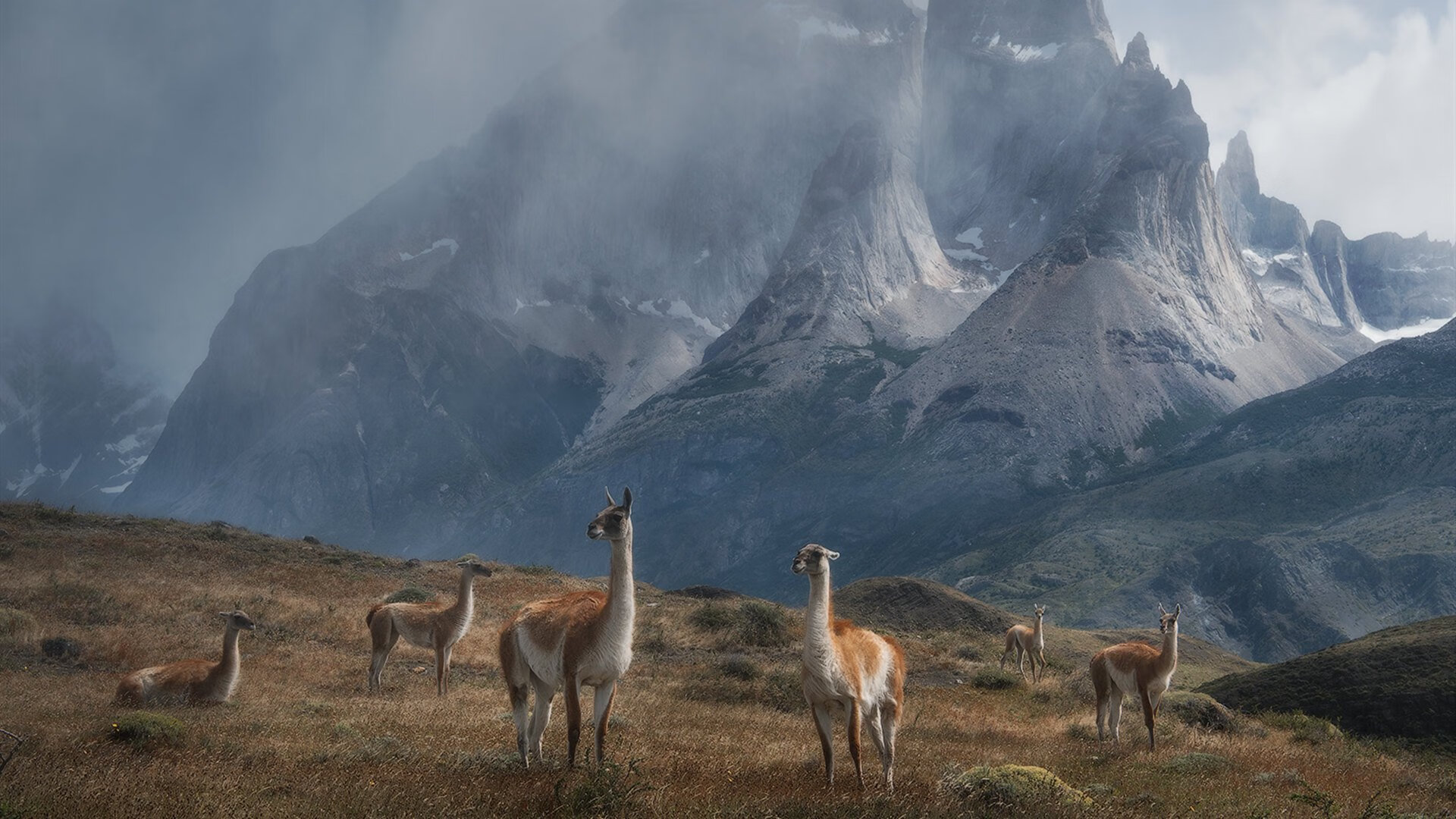 福克斯45分狂飙难救主!布伦森29+11尼克斯险胜国王
